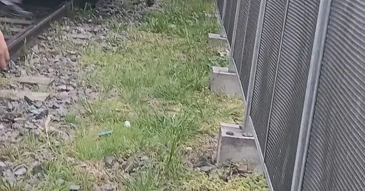 Cayó debajo del tren en Los Polvorines y fue rescatado con vida por bomberos voluntarios.