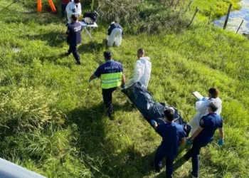 Hallan el cuerpo sin vida de un hombre en la Panamericana, cerca de la fábrica SKF.