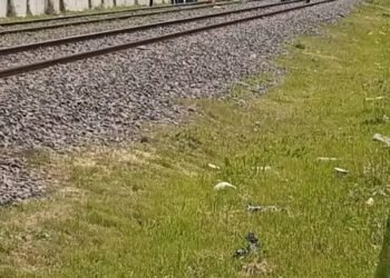 SERVICIO CONDICIONAL EN LA LÍNEA SAN MARTÍN.