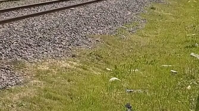 SERVICIO CONDICIONAL EN LA LÍNEA SAN MARTÍN.