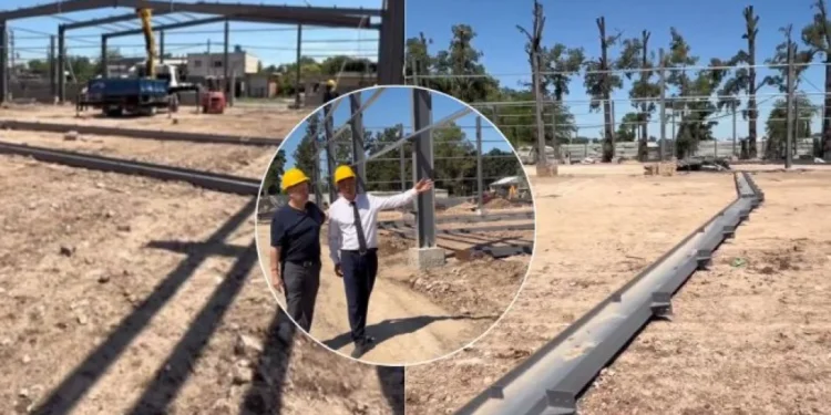 Importante inversión china en Merlo: la familia Wen instalará dos nuevas plantas del Carrite Group