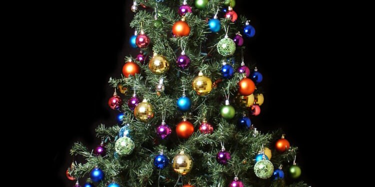 «FELIZ NAVIDAD TE DESEA PRIMICIAS 365 Y ARGENTINA NOTICIAS».