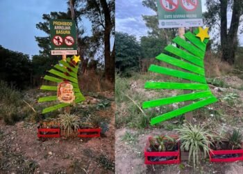 Robaron los adornos de un arbolito de Navidad a minutos de haber sido instalado en Merlo.