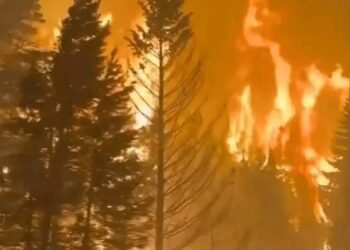 El negocio del fuego y el avance del sinsentido.