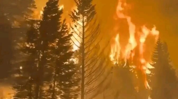 El negocio del fuego y el avance del sinsentido.