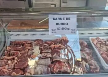 SE VENDE CARNE DE BURRO.