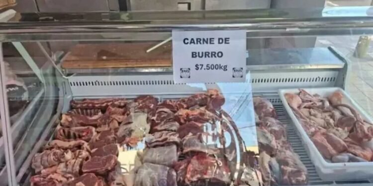 SE VENDE CARNE DE BURRO.