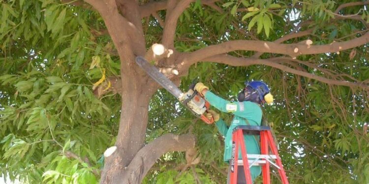 EL MUNICIPIO DE MERLO ATENDIENDO URGENCIAS EN LOS BARRIOS