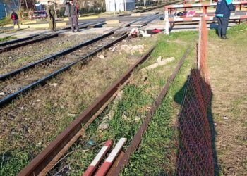 TREN BELGRANO NORTE ACCIDENTE EN VILLA ADELINA .