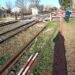 TREN BELGRANO NORTE ACCIDENTE EN VILLA ADELINA .