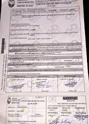 CHAU A LOS PASES DE DISCAPACIDAD TRUCHOS , LOS DISCAPACITADOS TENDRAN QUE REGISTRAR SU CUD A UNA TARJETA SUBE .
