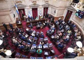 EL OFICIALISMO NO CONSIGUIÓ LOS VOTOS PARA LA VENTA DE TERRITORIO NACIONAL Y EXTRANJERO .