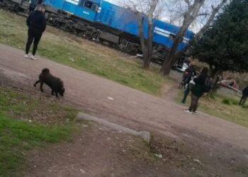 Demoras y cancelaciones en el Tren Sarmiento, ramal Lobos, tras el atropello de un joven.