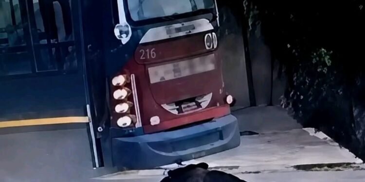 Milagro en Pontevedra: una mujer sobrevivió tras ser atropellada por un colectivo de la línea 236.
