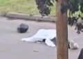 Un policía mató a un presunto motochorro durante un intento de robo en Lomas de Zamora.
