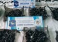 LOMAS DE ZAMORA :Desbaratan dos narcobúnkeres en Budge y Fiorito tras denuncias de vecinos