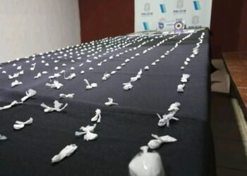 Desarticularon una banda de narcomenudeo tras cinco allanamientos en Ingeniero Pablo Nogués