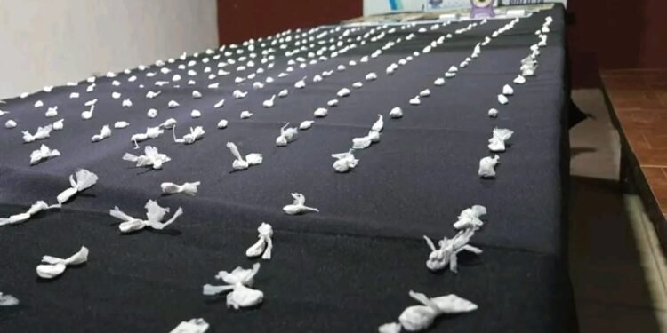 Desarticularon una banda de narcomenudeo tras cinco allanamientos en Ingeniero Pablo Nogués
