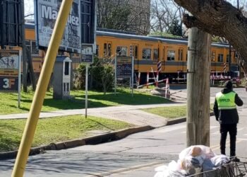 Villa Bosch :Otro choque en el tren Urquiza un automovilista intentó cruzar con las barreras bajas