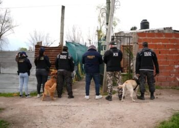 Un llamado anónimo permitió desarticular puntos de venta de droga en Maquinista Savio