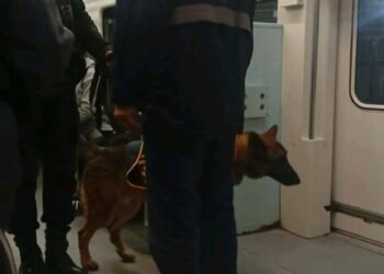 Operativos con perros detectores de drogas y control de documentación en la Línea San Martín