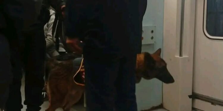 Operativos con perros detectores de drogas y control de documentación en la Línea San Martín