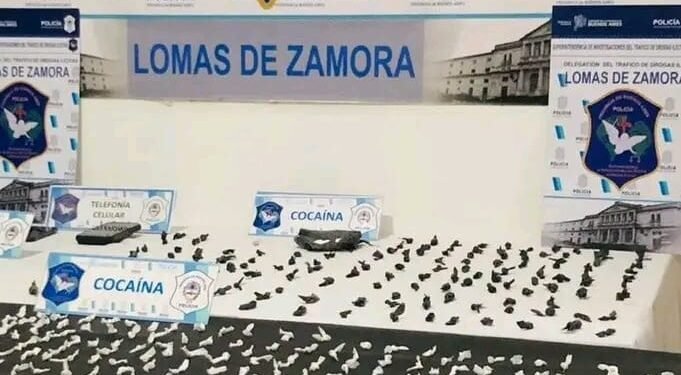 Desbarataron un búnker narco en Ingeniero Budge: tres detenidos y más de 200 dosis de cocaína secuestradas