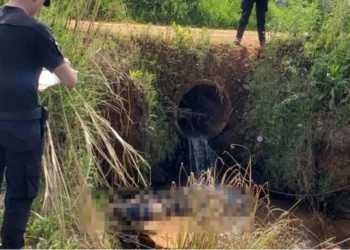 Hallan muerto a un hombre de 41 años junto a un arroyo en Gregorio de Laferrere