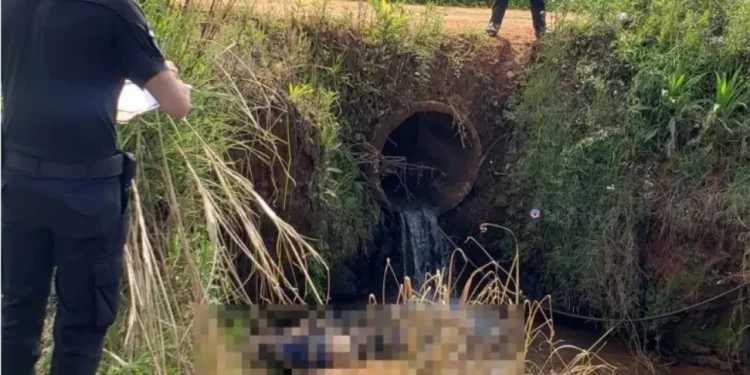 Hallan muerto a un hombre de 41 años junto a un arroyo en Gregorio de Laferrere
