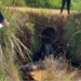 Hallan muerto a un hombre de 41 años junto a un arroyo en Gregorio de Laferrere