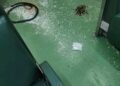 Pelea en una formación de la línea Urquiza en la estación Martín Coronado