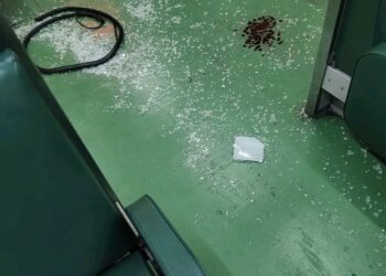 Pelea en una formación de la línea Urquiza en la estación Martín Coronado