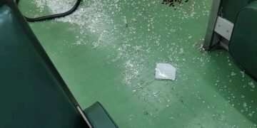 Pelea en una formación de la línea Urquiza en la estación Martín Coronado